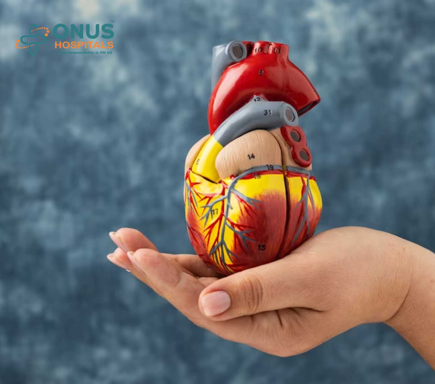 Cardiologist: The Heart Health Expert